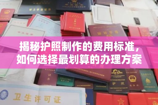 盈江揭秘护照制作的费用标准，如何选择最划算的办理方案？