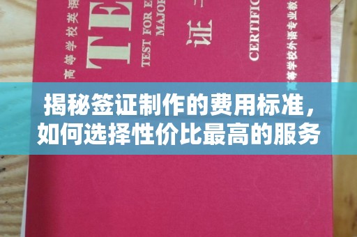 盈江揭秘签证制作的费用标准，如何选择性价比最高的服务？