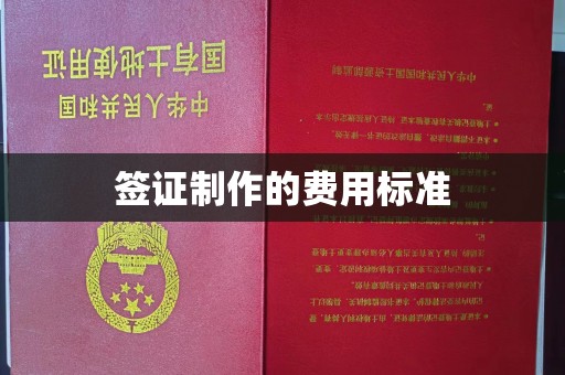 盈江签证制作的费用标准