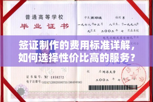 盈江签证制作的费用标准详解，如何选择性价比高的服务？