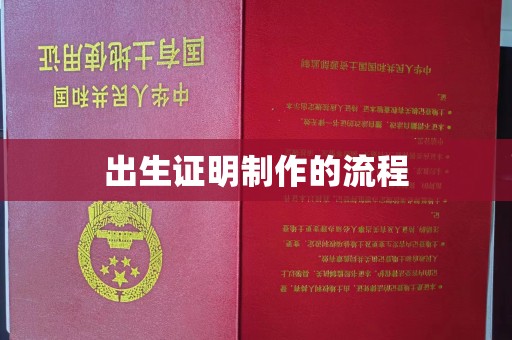 盈江出生证明制作的流程